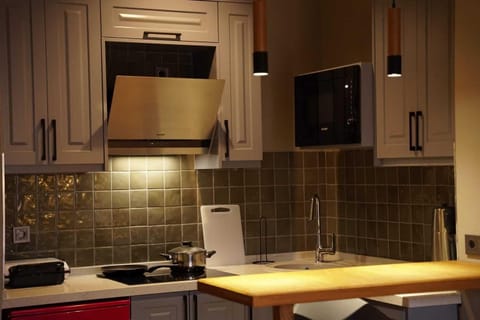 1+1 King Suite | Private kitchen | Fridge