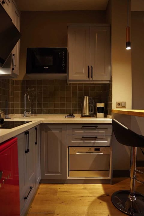 1+1 King Suite | Private kitchen | Fridge