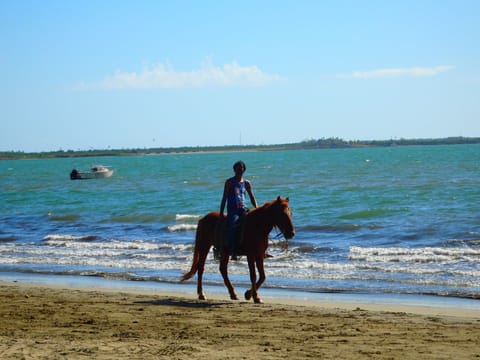 Horseback riding