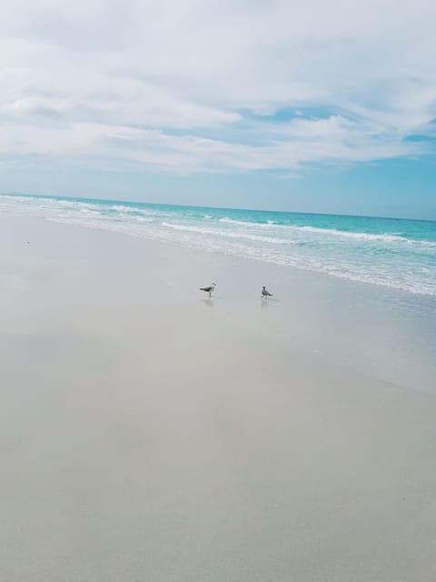 Beach nearby, white sand, beach bar