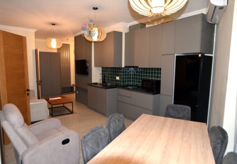 Family Suite | Private kitchen | Fridge, microwave, oven, freezer