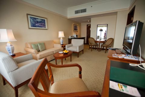 Executive Room | Living area | TV