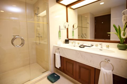 Executive Room | Bathroom | Shower, free toiletries, hair dryer, bathrobes