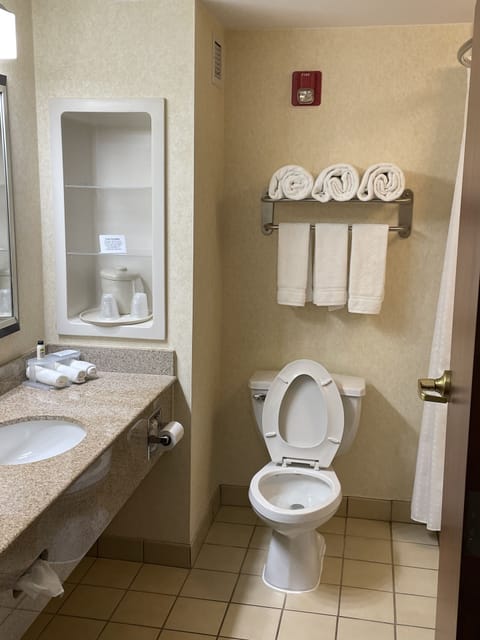 Combined shower/tub, free toiletries, hair dryer, towels