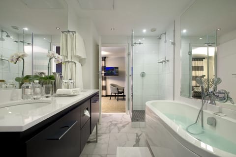 Combined shower/tub, hair dryer, towels