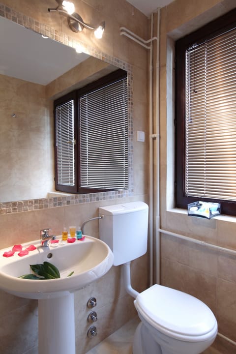 Standard Double or Twin Room | Bathroom | Combined shower/tub, free toiletries, hair dryer, slippers