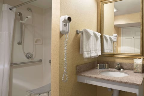 Eco-friendly toiletries, hair dryer, towels