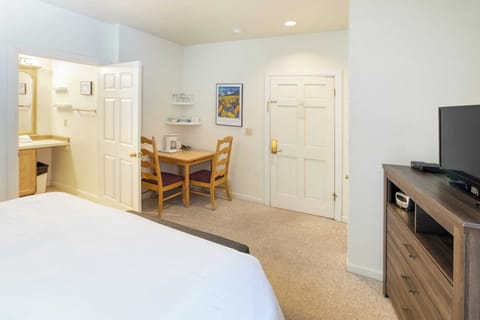 Studio (1 Bedroom) | Interior