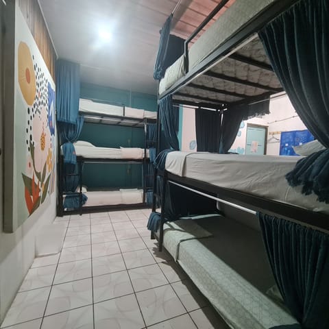 Basic Shared Dormitory, Mixed Dorm, Ensuite | Free WiFi, bed sheets