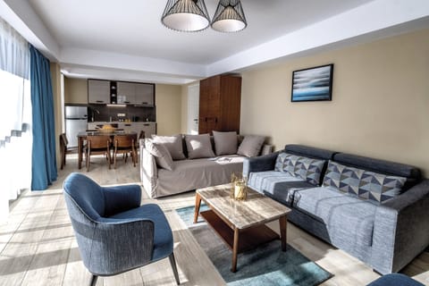 Superior Apartment | Living area