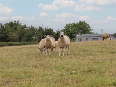 Cottage | Miscellaneous