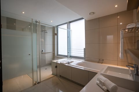 Penthouse | Bathroom | Free toiletries, hair dryer, towels