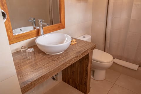 Superior Room | Bathroom | Shower, free toiletries, hair dryer, towels