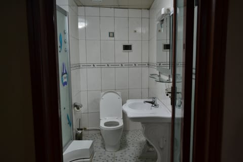 Suite | Bathroom | Shower, free toiletries, hair dryer, bidet