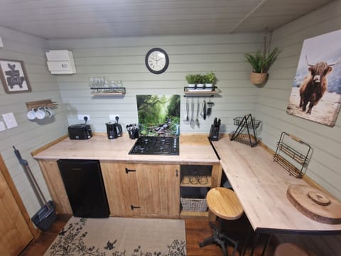 Cabin | Private kitchen | Fridge, stovetop, electric kettle, toaster