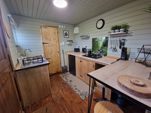 Cabin | Private kitchen | Fridge, stovetop, electric kettle, toaster