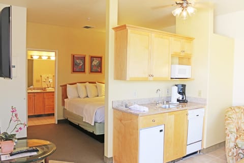 Studio Suite, Private Bathroom | Living area | TV, DVD player