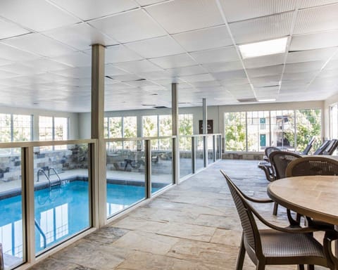 Indoor pool, sun loungers