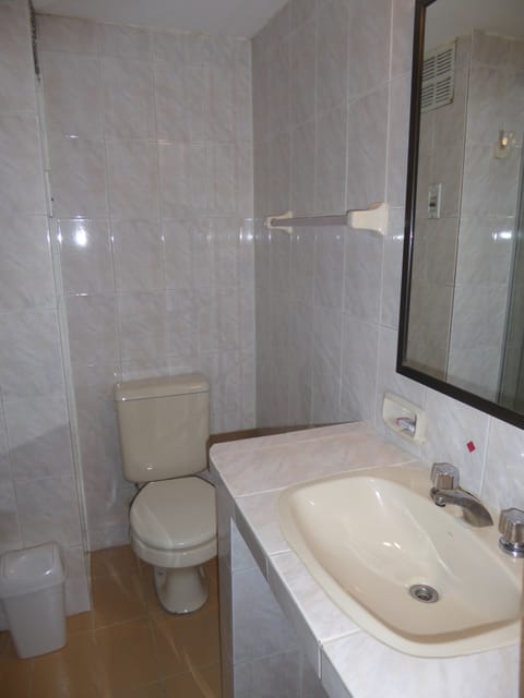 Deluxe Double Room, 1 Queen Bed, City View | Bathroom | Shower, hair dryer, towels