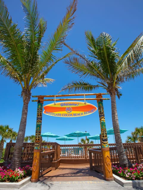 On the beach, sun loungers, beach umbrellas, surfing