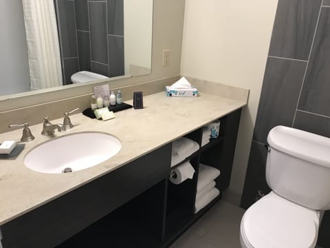 Combined shower/tub, free toiletries, hair dryer, towels