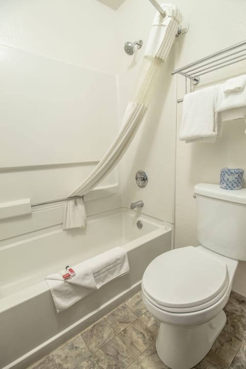 Combined shower/tub, free toiletries, hair dryer, towels