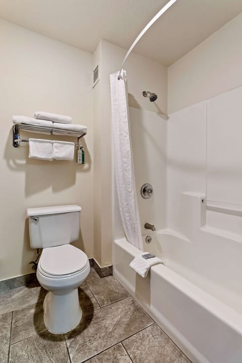 Combined shower/tub, hair dryer, towels