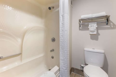 Standard Room, 1 King Bed, Non Smoking | Bathroom | Combined shower/tub, hydromassage showerhead, free toiletries