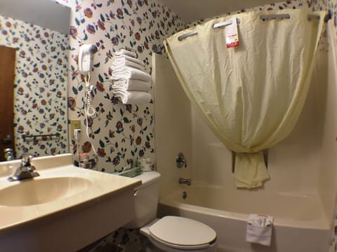 Combined shower/tub, free toiletries, hair dryer, towels