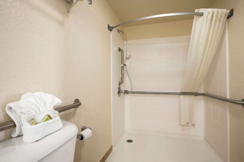 Combined shower/tub, free toiletries, hair dryer, towels