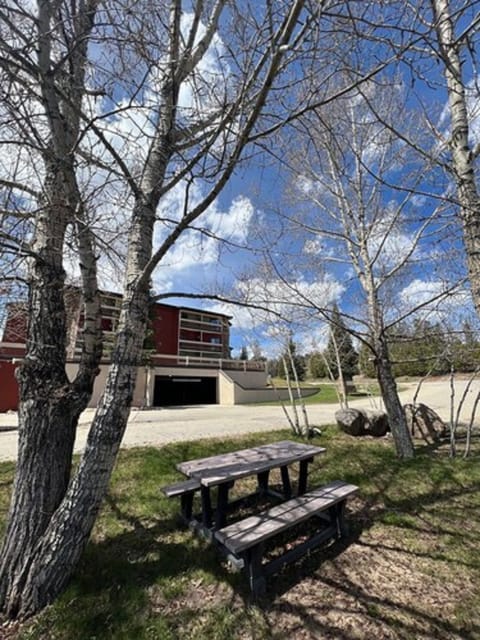 BBQ/picnic area