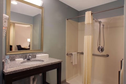 Suite, 1 King Bed, Accessible, Non Smoking | Bathroom | Combined shower/tub, free toiletries, towels