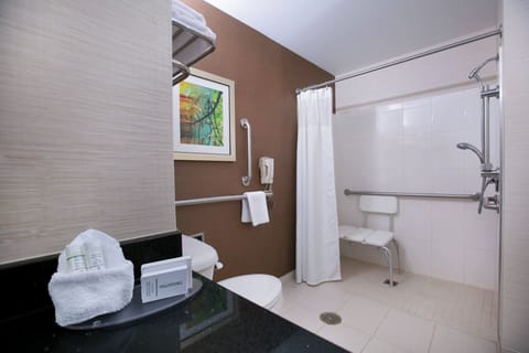 Combined shower/tub, free toiletries, hair dryer, towels