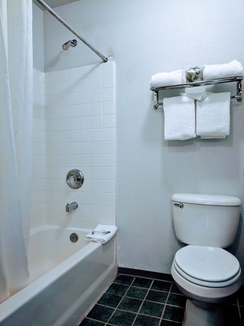 Combined shower/tub, free toiletries, hair dryer, towels