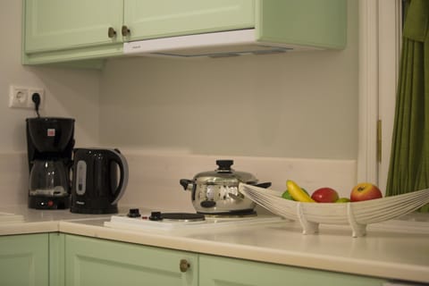 Deluxe Suite | Private kitchenette | Fridge, stovetop, coffee/tea maker, electric kettle