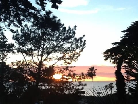 Premier Room, 1 King Bed, Hot Tub, Ocean View | Terrace/patio