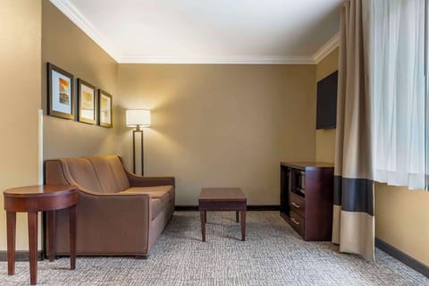 Suite, 1 King Bed with Sofa bed, Non Smoking | Desk, iron/ironing board, rollaway beds, WiFi