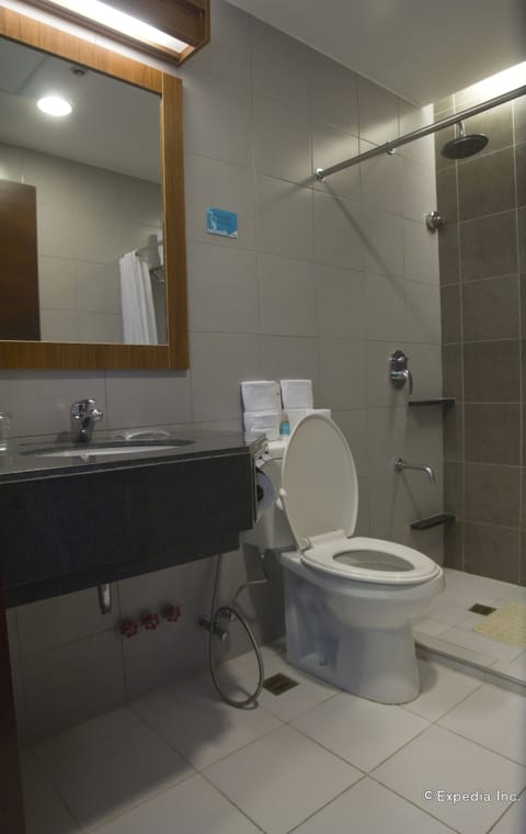 Shower, free toiletries, hair dryer, bidet