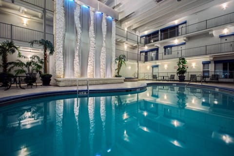 Indoor pool, sun loungers