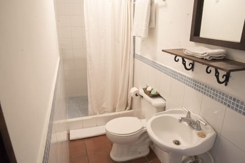 Standard Room (double bed) | Bathroom shower