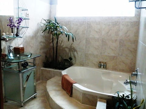 Villa, 2 Bedrooms, Ocean View | Bathroom | Combined shower/tub, free toiletries, hair dryer, towels