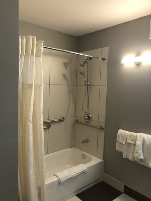 Economy Single Room, 1 King Bed, Accessible | Bathroom | Combined shower/tub, free toiletries, towels