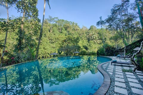 Outdoor pool, sun loungers