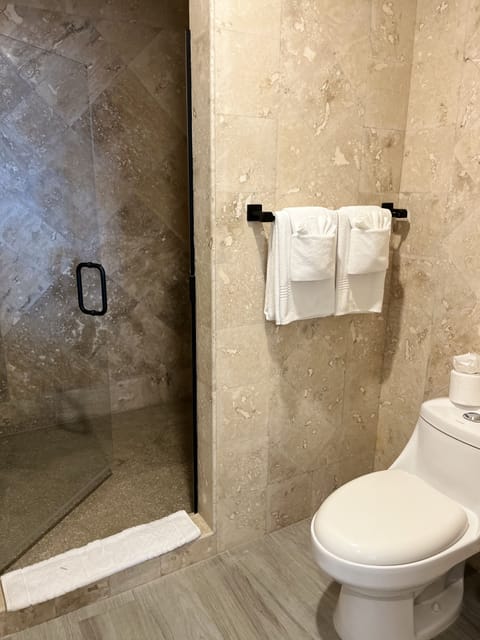 Family Suite | Bathroom | Shower, rainfall showerhead, free toiletries, towels