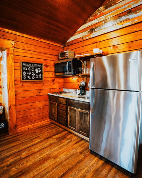 Deluxe Tree House, Hot Tub, Mountain View | Private kitchen | Mini-fridge, microwave, stovetop, dishwasher