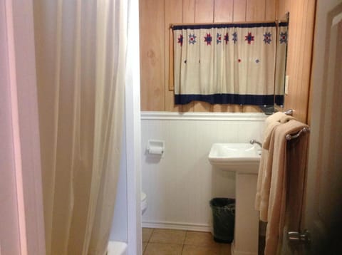 Combined shower/tub, hair dryer, towels