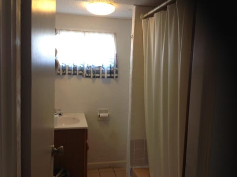 Combined shower/tub, hair dryer, towels