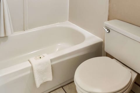 Combined shower/tub, free toiletries, hair dryer, towels