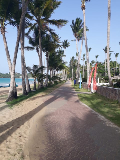 On the beach, white sand, sun loungers, beach towels