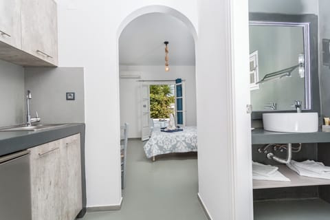 Fridge, stovetop, cookware/dishes/utensils